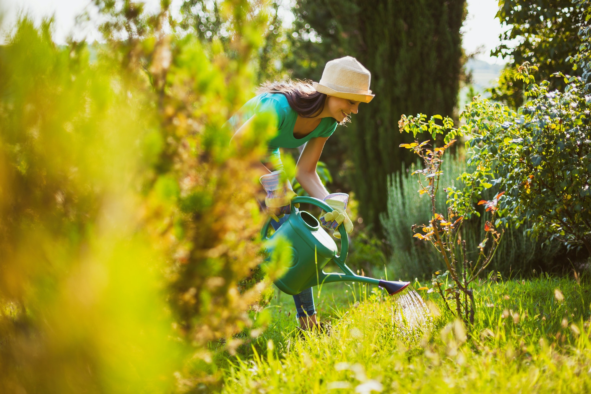 Gardening