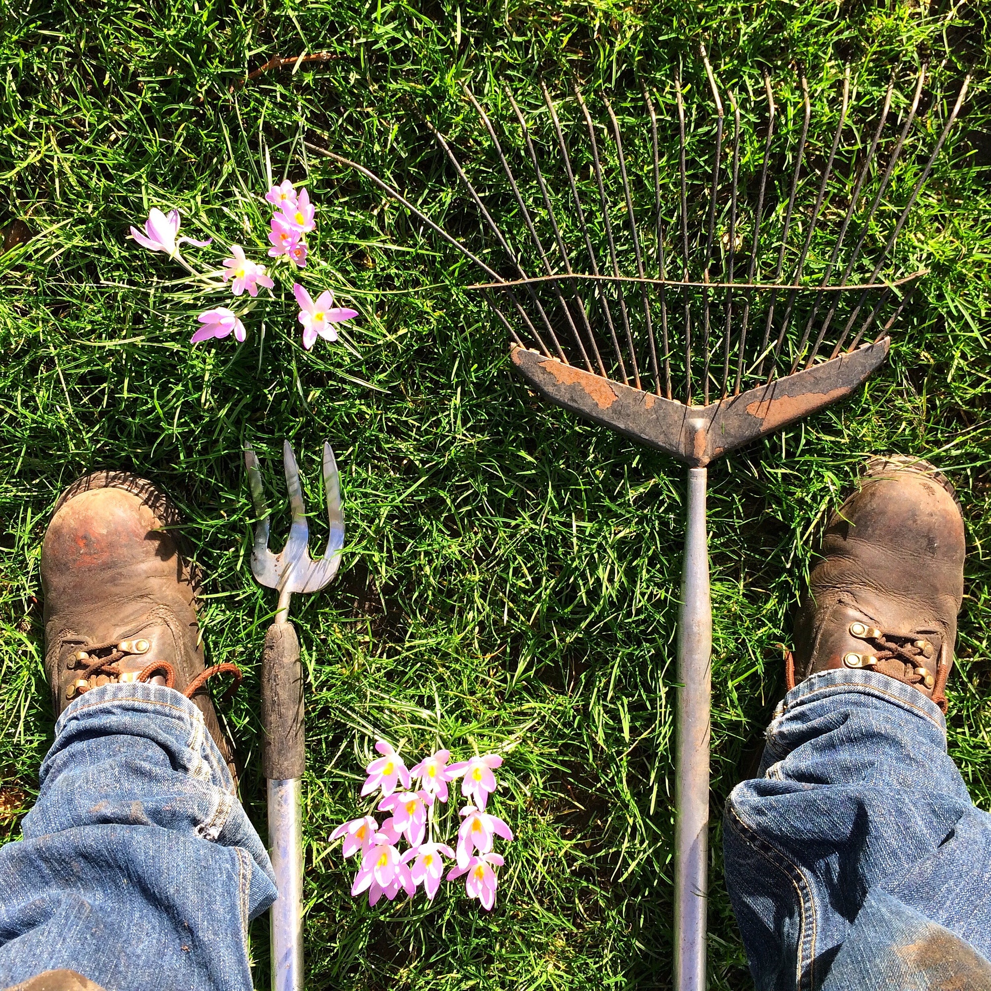 Gardening