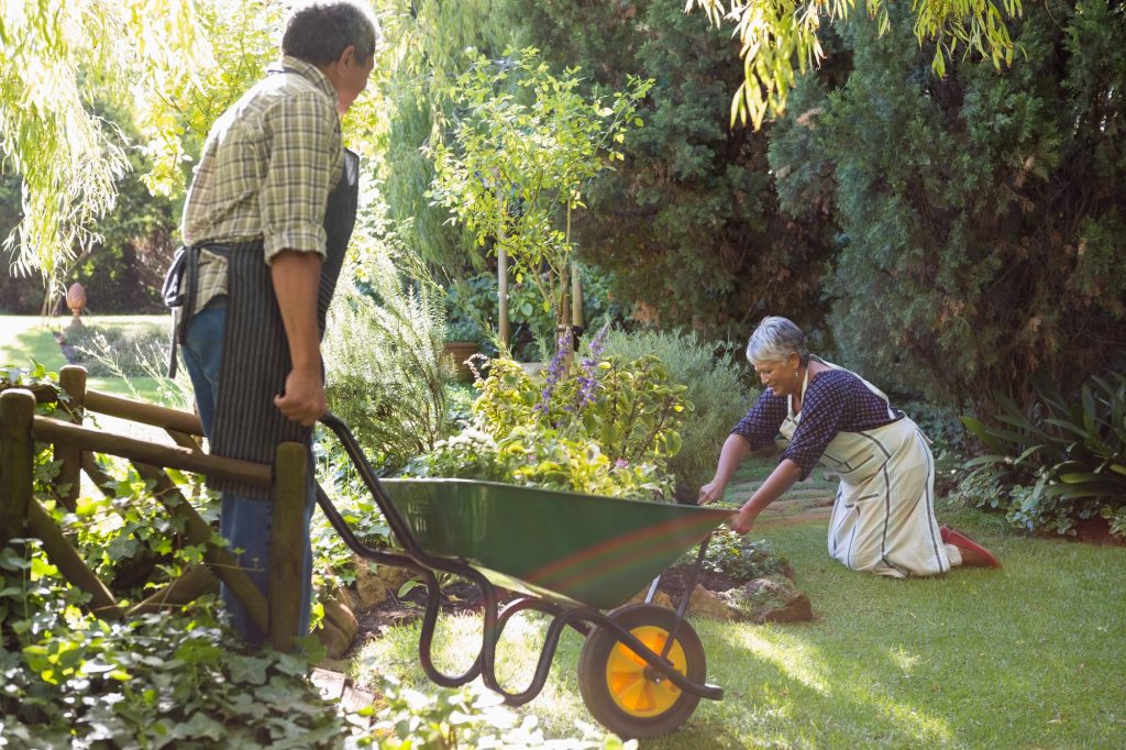 Senior couple gardening in the garden